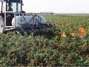 Red Dragon Propane weed burning torches for organic gardening and weed control in your yard and garden