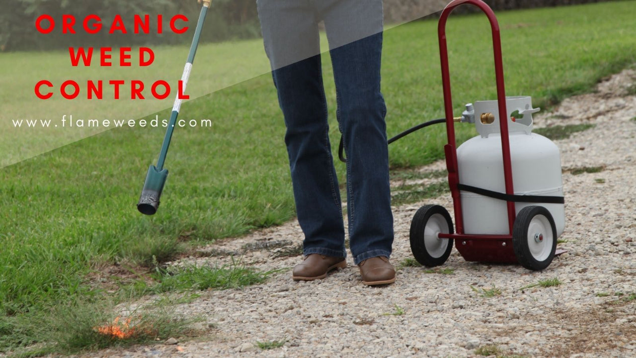 Best Propane Weed Torch Flame Engineering