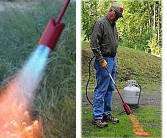 torch herbicide enhancer Red Dragon - VT3-30C